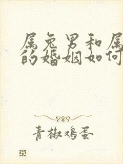 属兔男和属羊女的婚姻如何