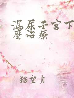 漏尿子宫下垂怎么治疗