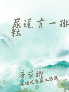 尿道有一排小肉粒