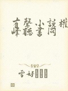 有声小说权力巅峰听书网