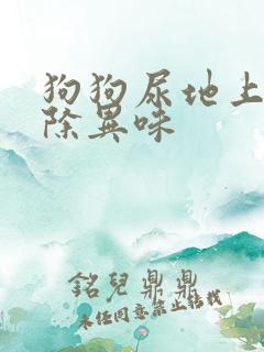 狗狗尿地上怎样除异味