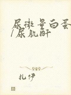 尿微量白蛋白高/尿肌酐