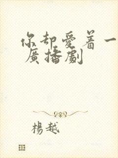 你却爱着一个他 广播剧