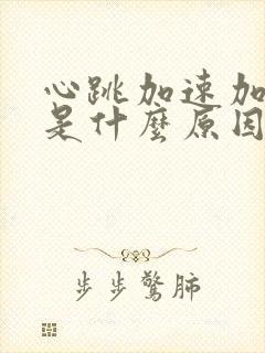 心跳加速加头晕是什么原因引起的