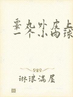 睾丸外皮上长了一个小肉球硬硬的有点疼