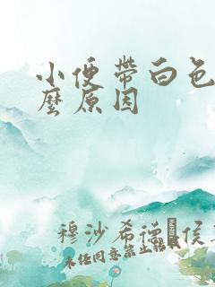 小便带白色是什么原因