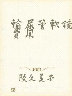 输尿管软镜排石费用