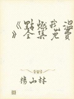 《点燃我温暖你》全集免费电视剧