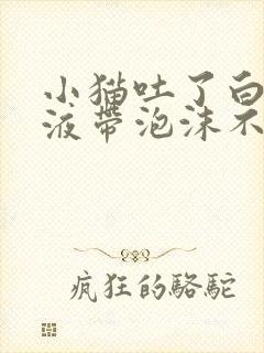 小猫吐了白色粘液带泡沫不吃东西