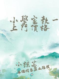 小学家教一对一上门价格