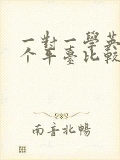 一对一学英语哪个平台比较好