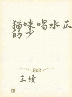 猫咪喝水正常尿的少