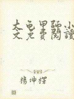 大龟甲师小说全文免费阅读全文