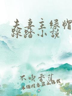 夫妻主绿帽羞辱踩踏小说