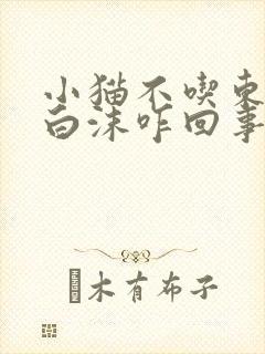 小猫不吃东西吐白沫咋回事