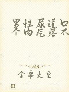 男性尿道口长了个肉疙瘩不疼不痒