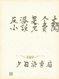 反派是个大好人小说免费阅读