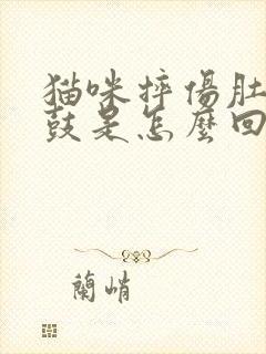 猫咪摔伤肚子鼓鼓是怎么回事