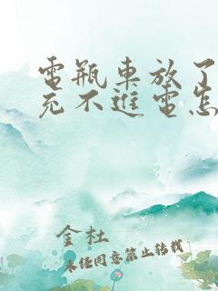 电瓶车放了几天充不进电怎么回事