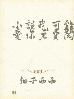 小说我可能不会爱你免费阅读