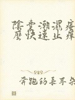 阴囊潮湿瘙痒怎么快速止痒