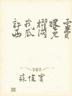 许我耀眼电视剧西瓜网免费观看