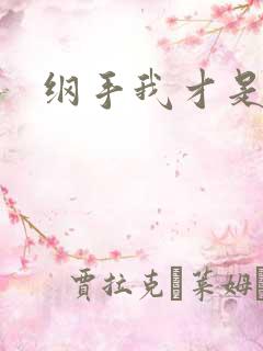 纲手我才是火影