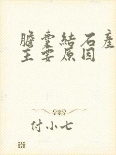 胆囊结石产生的主要原因