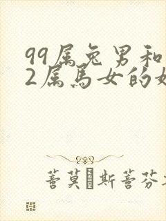 99属兔男和02属马女的婚姻怎么样