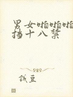 男女啪啪啪无遮挡十八禁