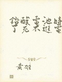 铅酸电池时间久了充不进电怎么办