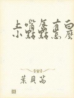 上嘴唇有白色的小点点怎么回事