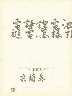 电锤锂电池充不进电,怎样补救