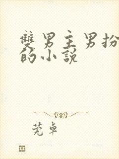 双男主男扮女装的小说