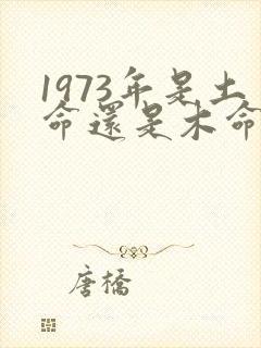 1973年是土命还是木命