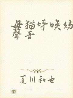 母猫呼唤幼崽的声音