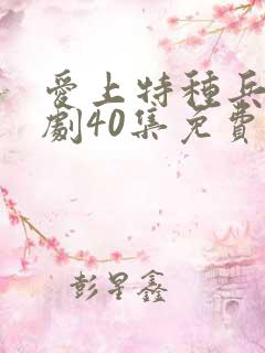 爱上特种兵电视剧40集免费观看全集