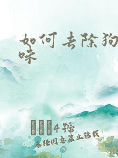 如何去除狗尿骚味