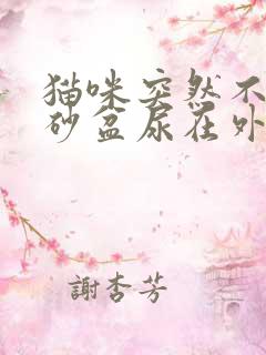 猫咪突然不去猫砂盆尿在外面