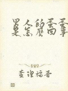 男人的蛋蛋肿疼是怎么回事