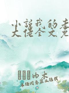 小说我的老公是大佬全文免费阅读