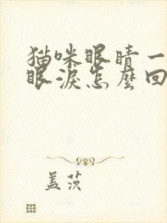 猫咪眼睛一直流眼泪怎么回事