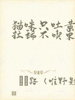 猫咪只吐黄水不拉稀不吃东西