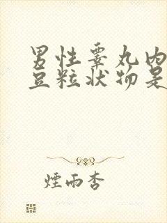 男性睾丸内有小豆粒状物是怎么回事