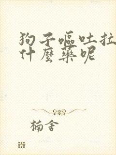 狗子呕吐拉稀吃什么药呢