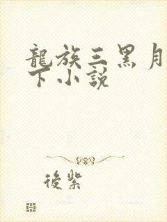 龙族三黑月之潮下小说