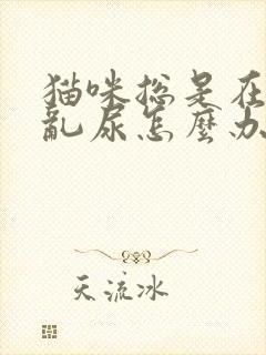 猫咪总是在家里乱尿怎么办