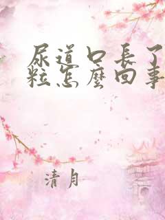 尿道口长了个肉粒怎么回事