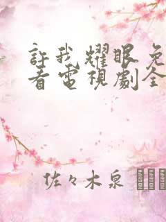 许我耀眼免费观看电视剧全集高清