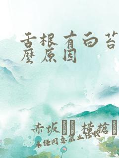 舌根有白苔是什么原因